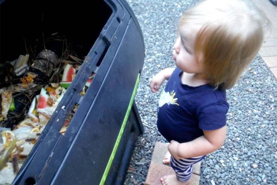 Nursery - Inspecting the compost